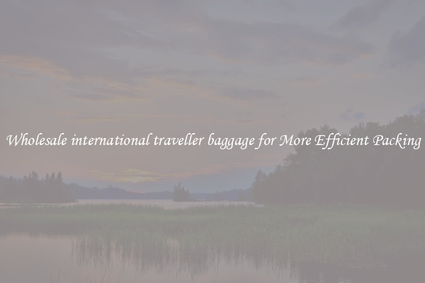 Wholesale international traveller baggage for More Efficient Packing
