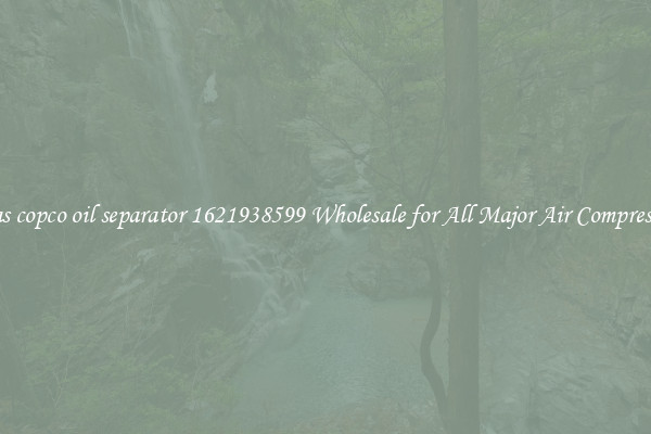atlas copco oil separator 1621938599 Wholesale for All Major Air Compressors