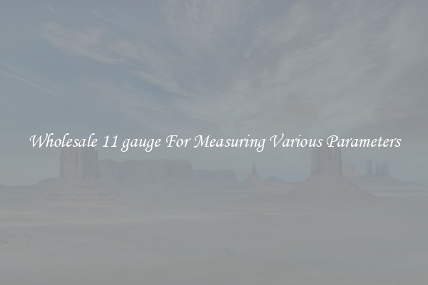 Wholesale 11 gauge For Measuring Various Parameters