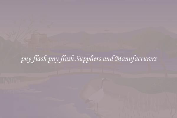 pny flash pny flash Suppliers and Manufacturers