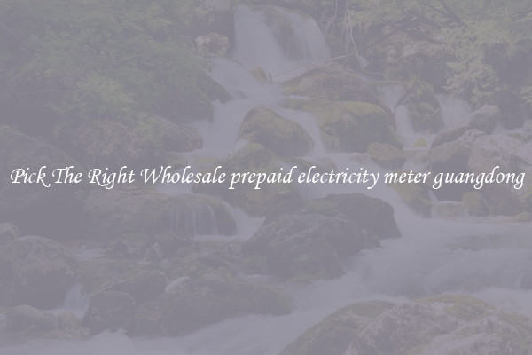 Pick The Right Wholesale prepaid electricity meter guangdong