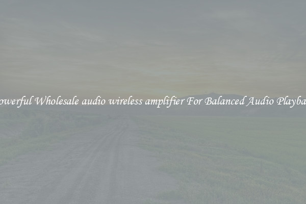 Powerful Wholesale audio wireless amplifier For Balanced Audio Playback