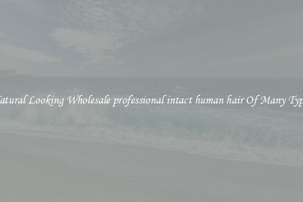 Natural Looking Wholesale professional intact human hair Of Many Types