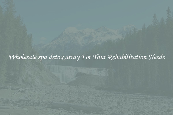 Wholesale spa detox array For Your Rehabilitation Needs