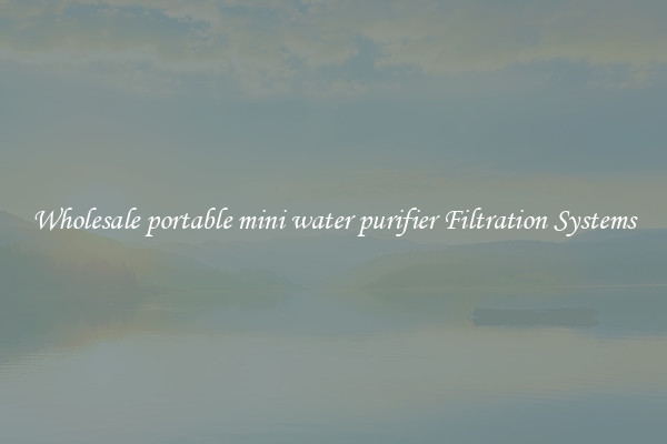 Wholesale portable mini water purifier Filtration Systems