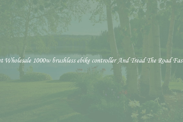 Get Wholesale 1000w brushless ebike controller And Tread The Road Faster