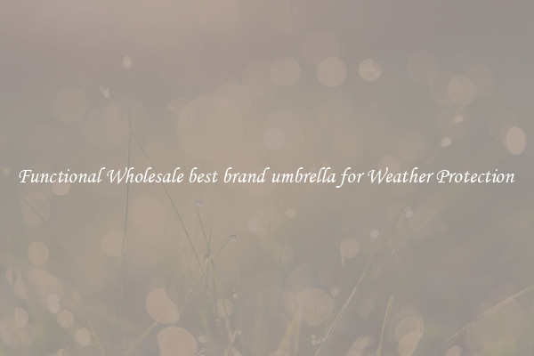 Functional Wholesale best brand umbrella for Weather Protection 