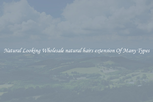 Natural Looking Wholesale natural hairs extension Of Many Types