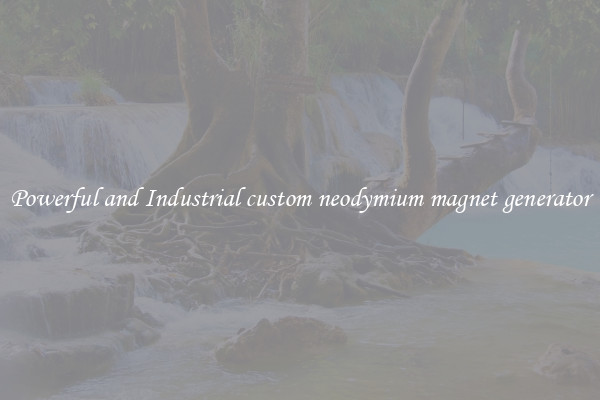 Powerful and Industrial custom neodymium magnet generator
